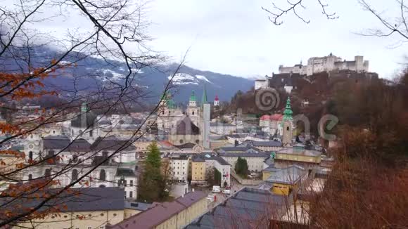 奥地利萨尔茨堡老城区的树木景观视频的预览图