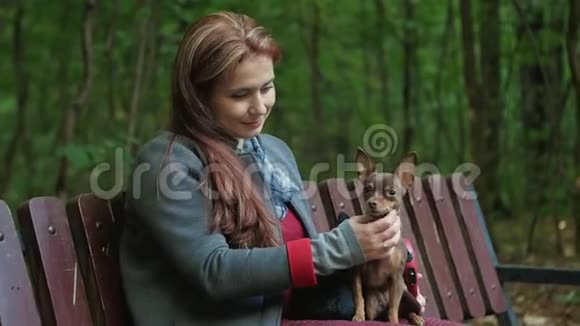 一个女人坐在树林里的长凳上膝盖上熨着两只小狗视频的预览图