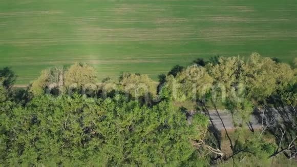 飞越树木和田野视频的预览图