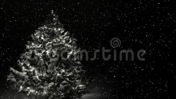 白雪皑皑的圣诞树视频的预览图
