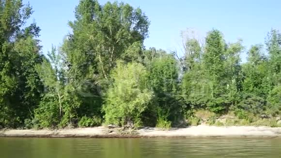 河边生长着绿树成荫的自然景观视频的预览图