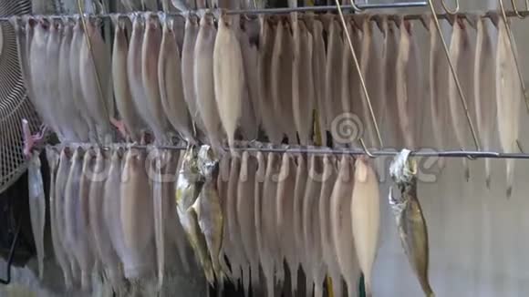 4K鱼挂在釜山的古克杰国际市场上晾干视频的预览图