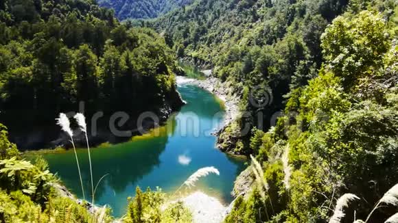 新西兰西海岸美丽的莫基欣桂河视频的预览图