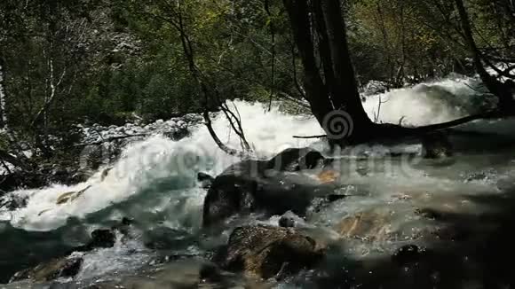山河沿着森林流淌动作缓慢视频的预览图