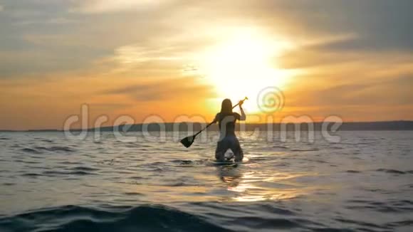 女运动员漂浮在一个特殊的木板上在日落的背景上划桨4K视频的预览图