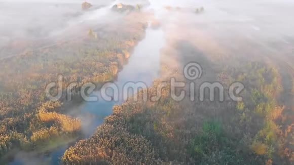 田野中央一条雾蒙蒙的河上日出视频的预览图