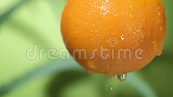 普通话水果饮食和健康食品中的水滴视频的预览图