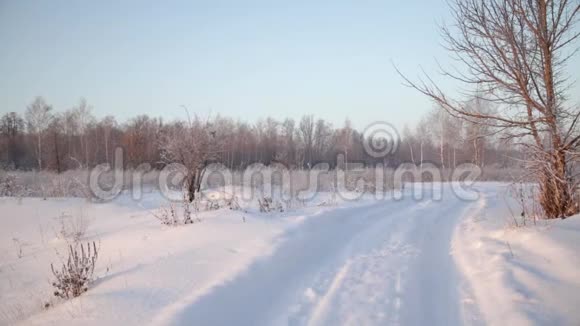 路初冬的清晨视频的预览图