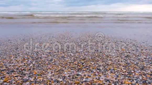 沙滩上海波带小贝壳风暴海视频的预览图