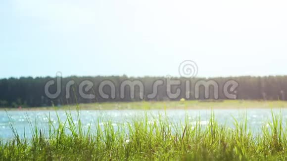 河边的景观在一个阳光明媚的夏日在村里天空风海滩草地视频的预览图