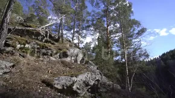 岩石形成过度生长有明亮的绿色苔藓视频的预览图