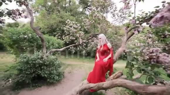 魔法花园里美丽的精灵女孩视频的预览图