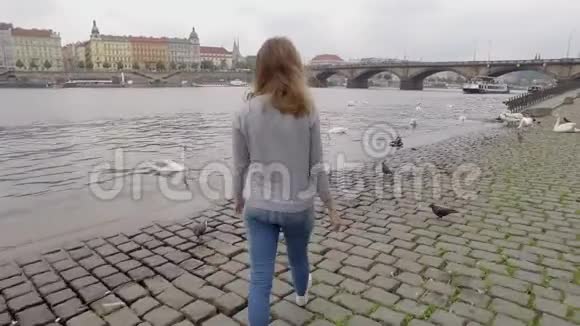 在阴天的春天年轻女子正在布拉格的城市堤岸上散步观看着白色的天鹅视频的预览图