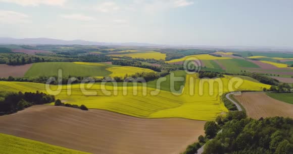 风景优美的农田和天空中的森林视频的预览图