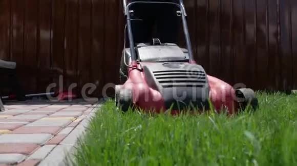 在花园里工作的房主用割草机割草他用电动割草机在院子里割草低角度拍摄视频的预览图