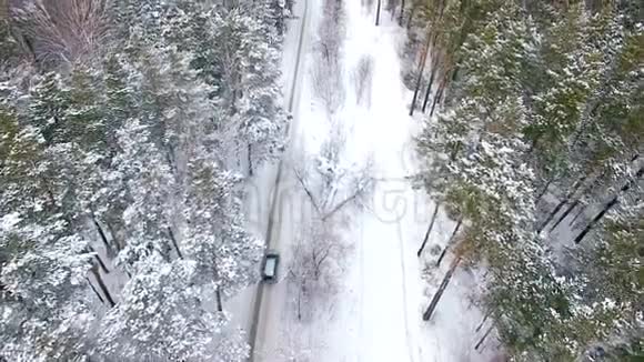 鸟瞰汽车在冬林中行驶视频的预览图