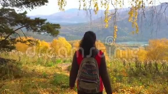 阳光明媚的秋日女游客在秋天的森林里散步徒步旅行者女旅行者在山上徒步旅行欣赏全景视频的预览图