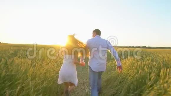 快乐的年轻夫妇牵着手在夏天的日落时穿过麦田在户外玩得很开心农村视频的预览图