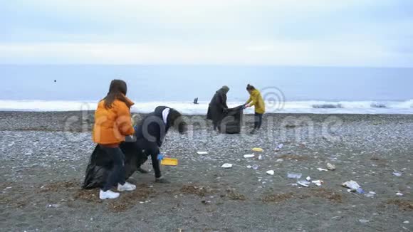 志愿者在秋天清理海滩上的垃圾环境问题视频的预览图