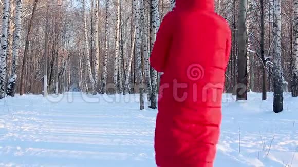 穿着红色冬衣穿着毡靴的年轻女子在寒冷晴朗的冬日带着桦树在画报城市公园散步视频的预览图