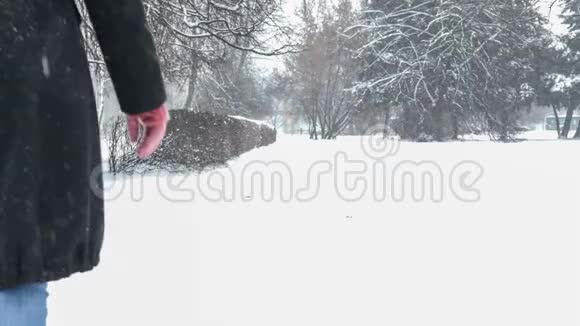 在暴风雪中走在外面的女人视频的预览图