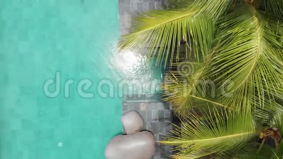 在豪华游泳池和棕榈树游泳的苗条年轻女子的俯视图假期概念医生视频的预览图