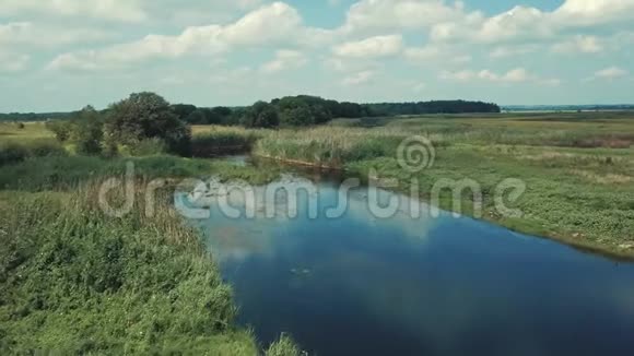 空中观景在晴朗的阴天蓝湖岸边的森林视频的预览图