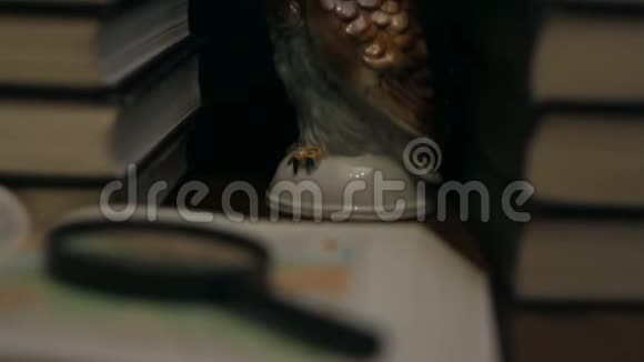 猫头鹰雕像在书堆中视频的预览图