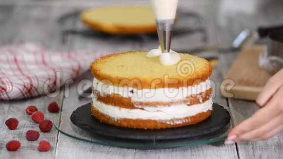 用奶油海绵蛋糕覆盖的糕点奶油在糕点袋里视频的预览图