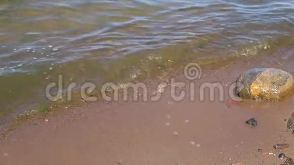 阳光明媚的一天海边有小浪视频的预览图
