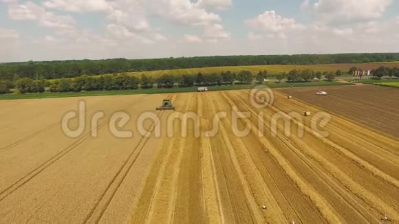 黄麦地拖拉机在收获场上的空中飞行视频的预览图