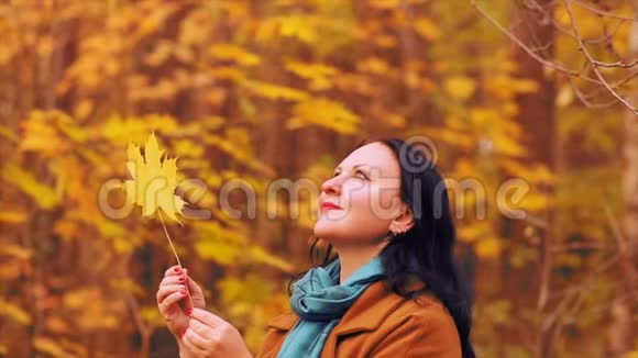 秋天公园里一个戴着眼镜的年轻微笑的女人手里拿着一片花纹的枫叶检查着它视频的预览图