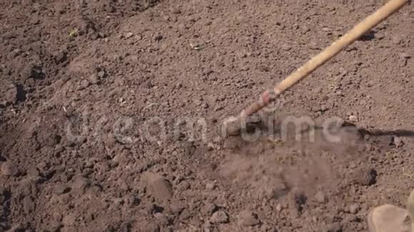 园丁为播种准备土壤农民工作土壤松开地面人在地上锄头视频的预览图