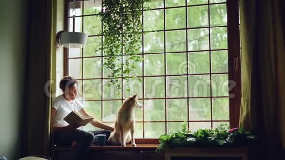 漂亮的非裔美国女学生正在看书抚摸她那纯种的狗坐在现代的窗台上视频的预览图