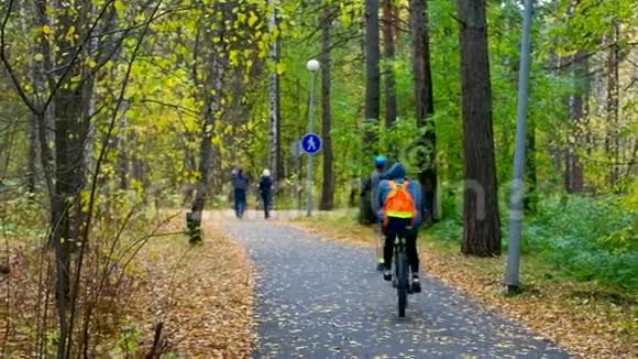 在桦树公园的柏油路上男人骑着自行车视频的预览图