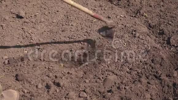 农民干活松土人在地上锄头园丁为播种准备土壤视频的预览图