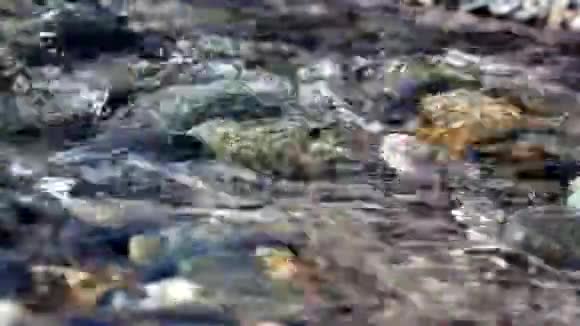 在卵石海滩上的小溪视频的预览图