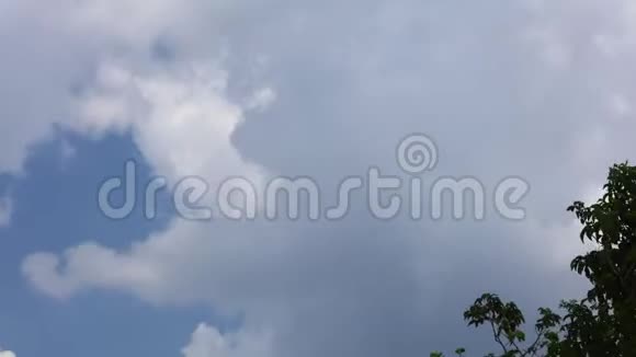 热带风暴天空随着树顶消失视频的预览图