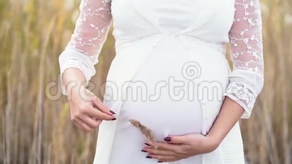 怀孕的年轻妇女用蓬松的潘帕斯草触摸腹部一个穿着长蕾丝裙的女孩站在秋天的田野里慢视频的预览图