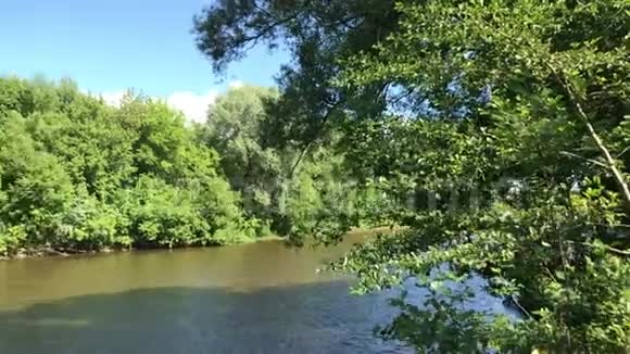 日兹德拉河在奥提纳的森林中隐居夏日晴朗的河声视频的预览图