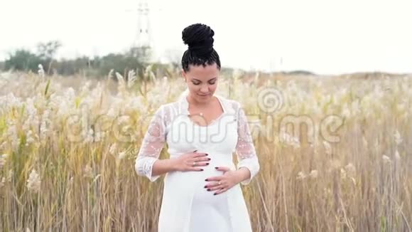 年轻漂亮的孕妇在大自然的背景下摆姿势准妈妈在等孩子她握着她抚摸她视频的预览图