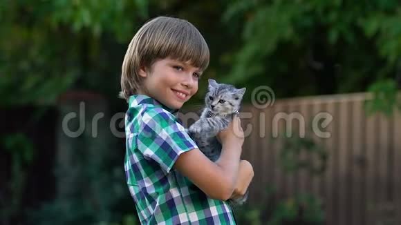 快乐的男孩拥抱小猫给孩子最好的礼物温柔的爱动物视频的预览图