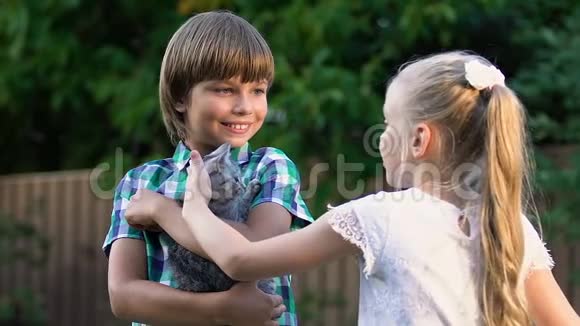 小女孩用小男孩的手抚摸小猫孩子们交朋友视频的预览图