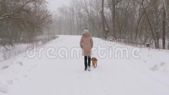 一个女孩和一只狗在冬季公园的暴风雪中散步视频的预览图
