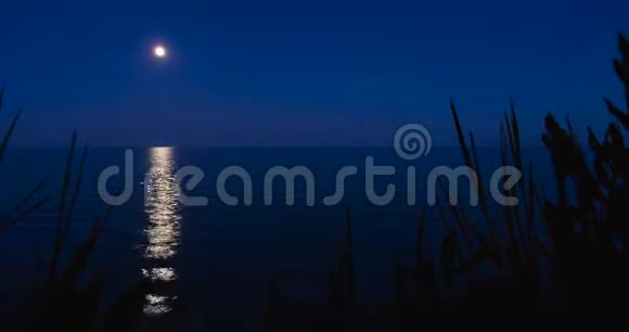 傍晚的海景月亮活动前完全黑暗放松心情视频的预览图