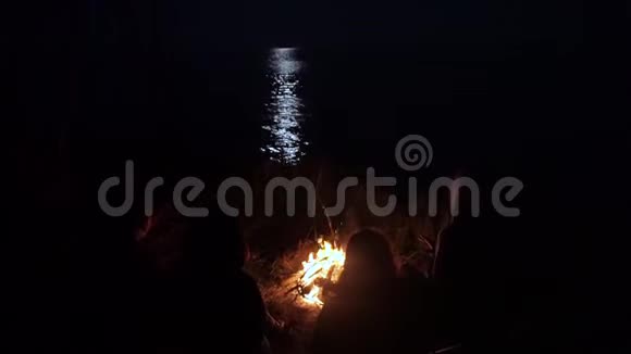 一群人在海边的火堆旁月亮被反射在海边的夜晚露营视频的预览图