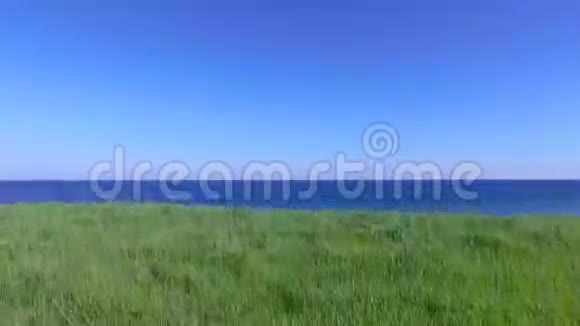 风景自然景观海草天和无尽的地平线背景视频的预览图