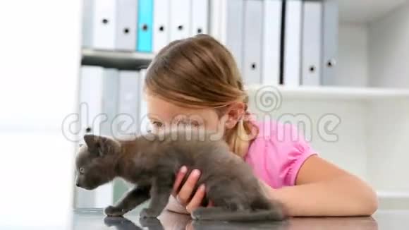 小女孩抚摸着一只灰色的小猫视频的预览图