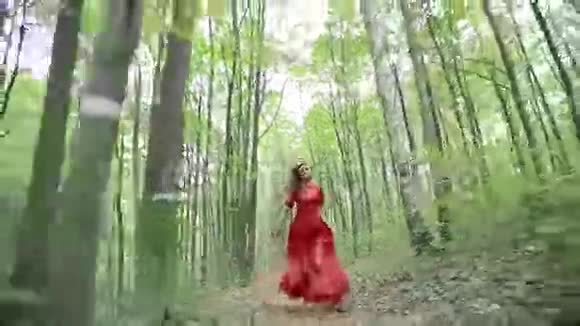 伍兹奔跑的美丽仙女视频的预览图