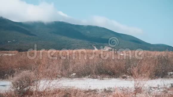 性感的女孩穿着蓝色的外套和红色的帽子手里拿着一个木棍在山上的一条路上奔跑视频的预览图